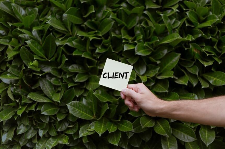 accelerate brand growth online services