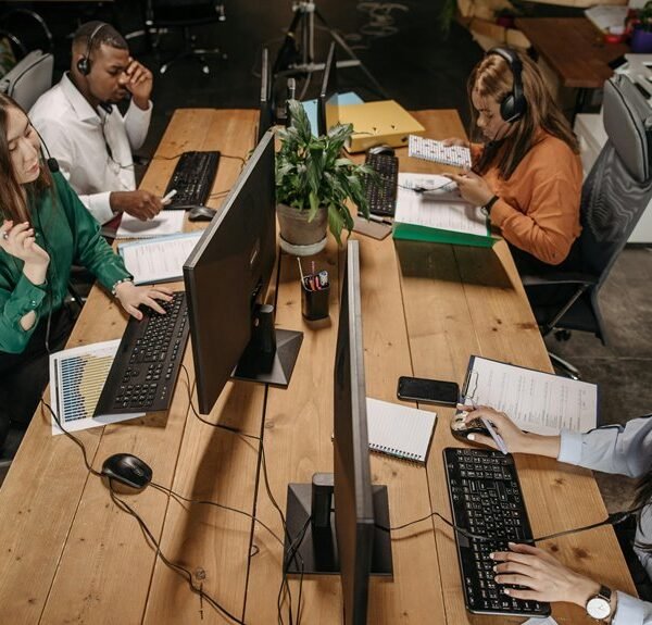 elevate your online business