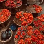 grow your market influence